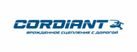 Название компании